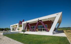 Quinta Monteiro De Matos - Enoturismo